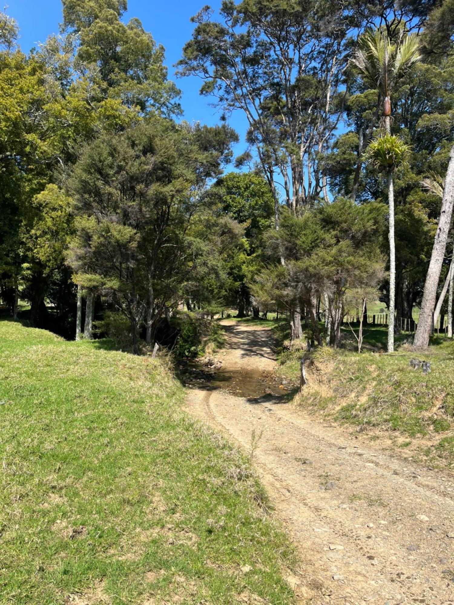 White Star Station Farm Holiday Park Coromandel Exteriör bild