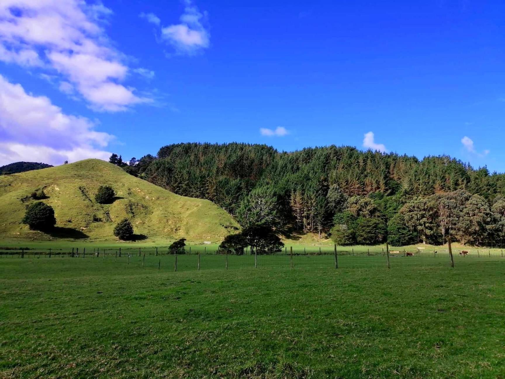 White Star Station Farm Holiday Park Coromandel Exteriör bild