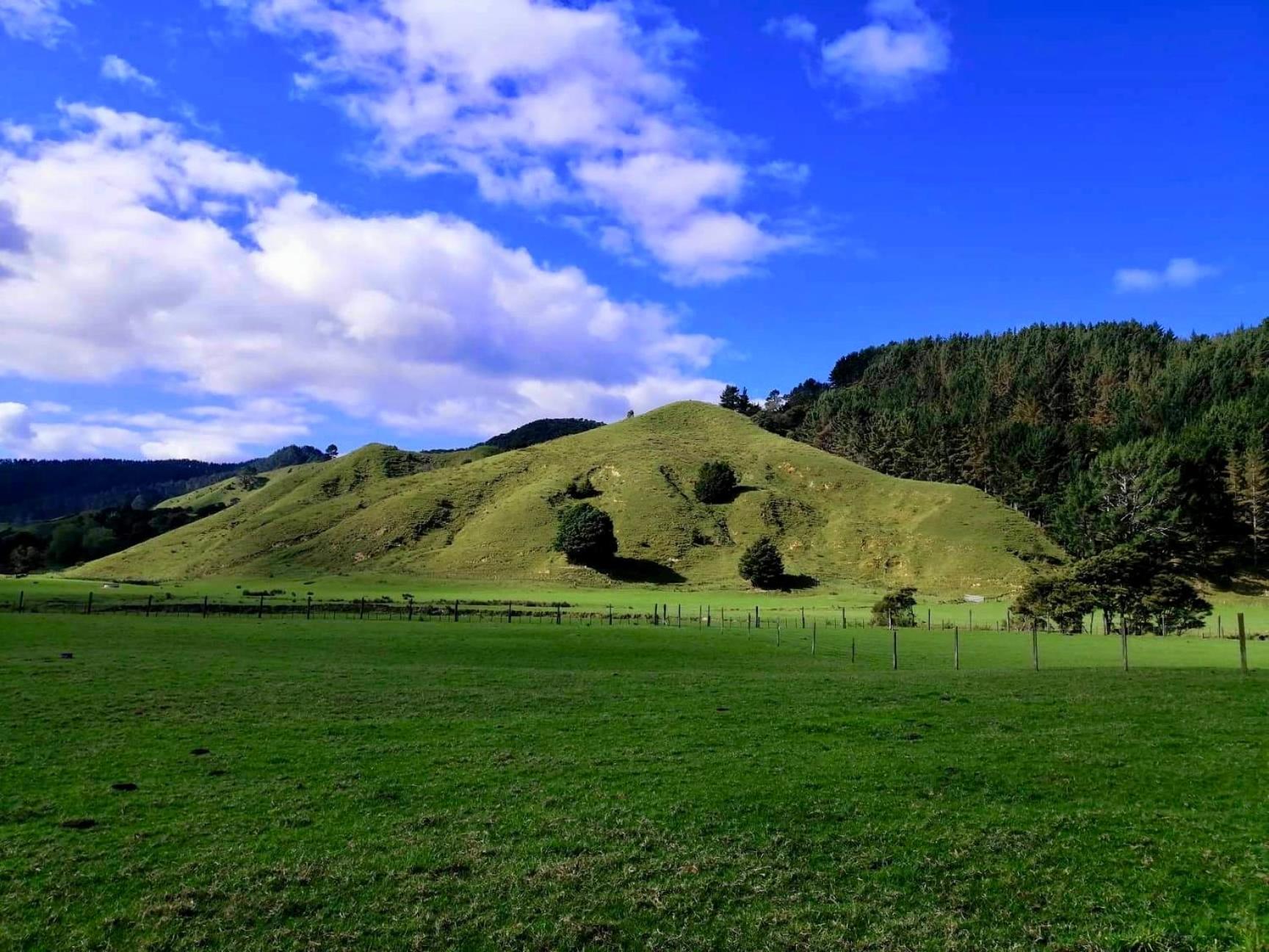 White Star Station Farm Holiday Park Coromandel Exteriör bild